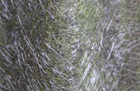 Williamscot fibreglass roof work